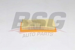 BSG 25135013 Hava Filtresi