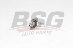 BSG 65126010 Termostat