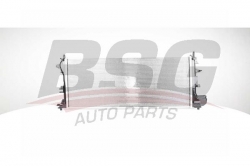 BSG 65520046 Su Radyatörü