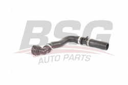 BSG 90720025 Radyatör Hortumu Üst