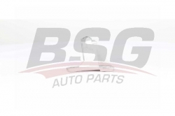 BSG 75330001 Aks Taşıyıcı Orta