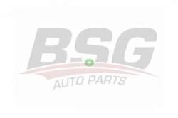 BSG 30995050 Mazot Geri Dönüş Hortum Oringi