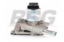 BSG 65836004 Egr Valfi