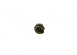 BOSCH 0281006163 Basınç Sensörü