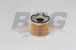BSG 70130007 Yakıt Filtresi