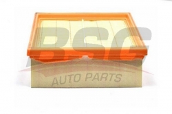 BSG 30135003 Hava Filtresi