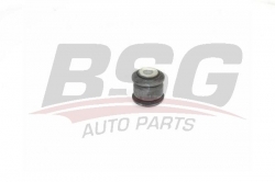 BSG 70700043 Salıncak Burcu