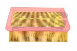 BSG 65135006 Hava Filtresi