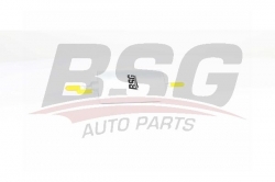 BSG 90130017 Yakıt Filtresi