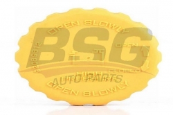 BSG 65551001 Radyatör Yedek Su Depo Kapağı