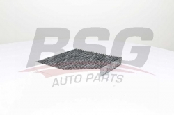BSG 90145019 Polen Filtresi