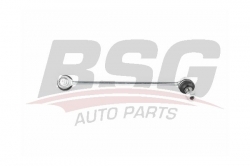 BSG 60310211 Viraj Askı Rotu Ön Sol