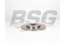 BSG 40210046 Fren Diski Arka