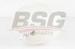 BSG 90550002 Radyatör Yedek Su Deposu