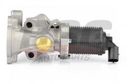 BSG 65836007 Egr Valfi