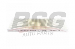 BSG 90145002 Polen Filtresi