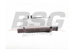 BSG 15520040 Su Radyatörü