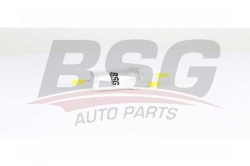 BSG 90130018 Yakıt Filtresi