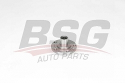 BSG 25600005 Porya Ön