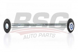 BSG 60310168 Viraj Askı Rotu Arka