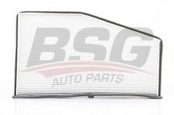BSG 90145008 Polen Filtresi