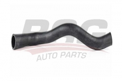 BSG 16720012 Radyatör Hortumu Alt