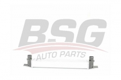 BSG 70535002 Turbo Radyatörü
