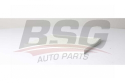 BSG 65145016 Polen Filtresi