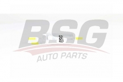 BSG 90130019 Yakıt Filtresi
