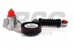 BSG 30615014 V Kayış Gergi Rulmanı