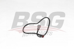 BSG 70725021 Yakıt Borusu