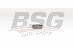 BSG 75615001 V Kayış Gergi Rulmanı