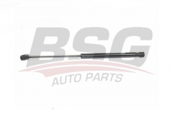 BSG 15980013 Motor Kaput Amortisörü