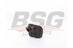 BSG 60550001 Radyatör Yedek Su Deposu