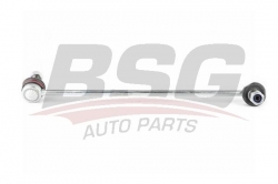 BSG 40310113 Viraj Askı Rotu Ön Sol