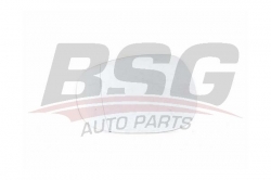 BSG 15910014 Ayna Camı Sağ