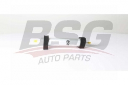 BSG 90130023 Yakıt Filtresi