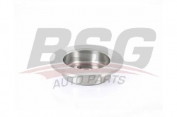 BSG 35210009 Fren Diski Arka