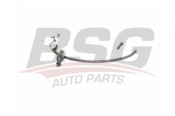 BSG 75725017 Mazot Pompa Hortumu