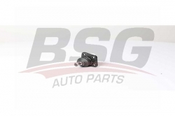BSG 90310197 Rotil Alt