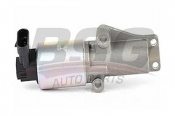 BSG 65836009 Egr Valfi