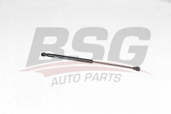 BSG 15980058 Motor Kaput Amortisörü