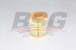 BSG 60135034 Hava Filtresi