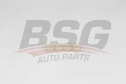 BSG 30116152 Enjektör Oring Takımı