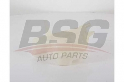BSG 16550003 Radyatör Yedek Su Deposu