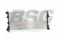 BSG 90520022 Su Radyatörü