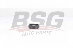 BSG 25615006 V Kayış Gergi Rulmanı