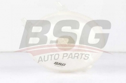 BSG 70550001 Radyatör Yedek Su Deposu