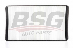 BSG 60145010 Polen Filtresi