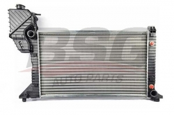 BSG 60520010 Su Radyatörü